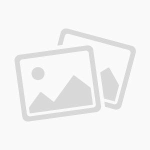 Illegal Tour Guides in Thailand: A Growing Problem